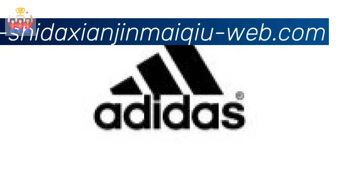 十大现金买球入口合作伙伴